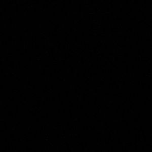 Meet your Posher, Bianca